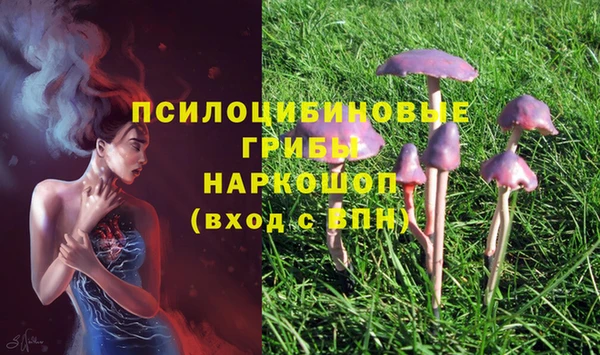 jwh Верея