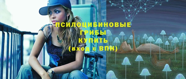 соль курить ск Верхний Тагил