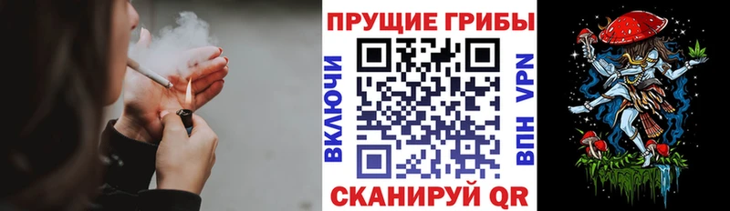 наркошоп  Севастополь  Псилоцибиновые грибы Magic Shrooms 